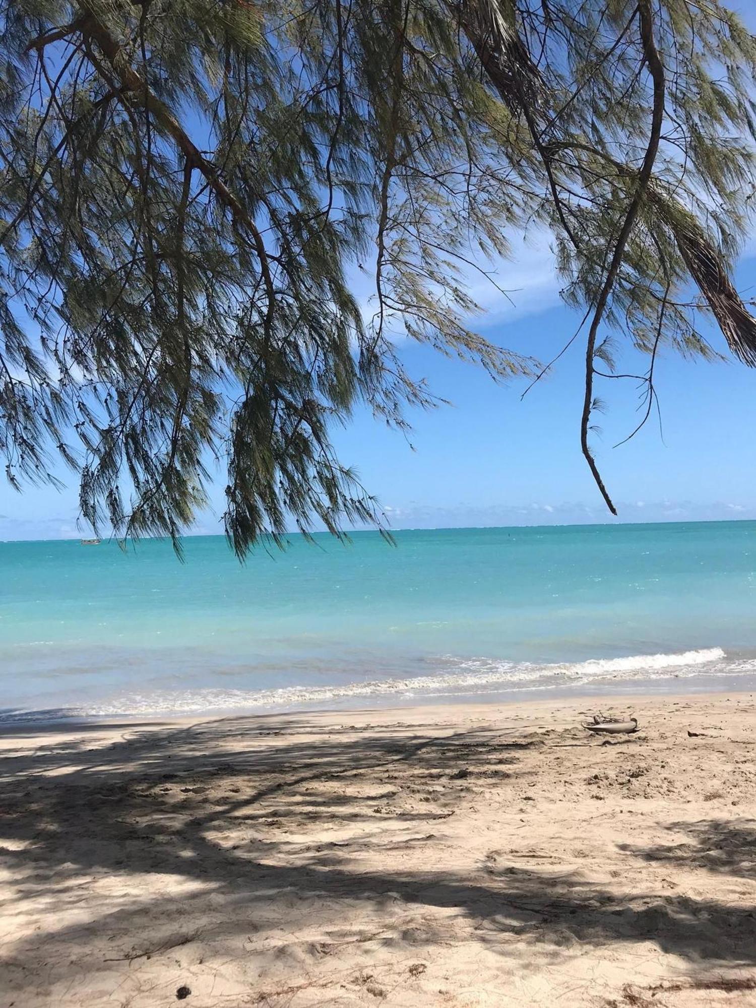 Chales Praias Brasileiras マラゴージ エクステリア 写真