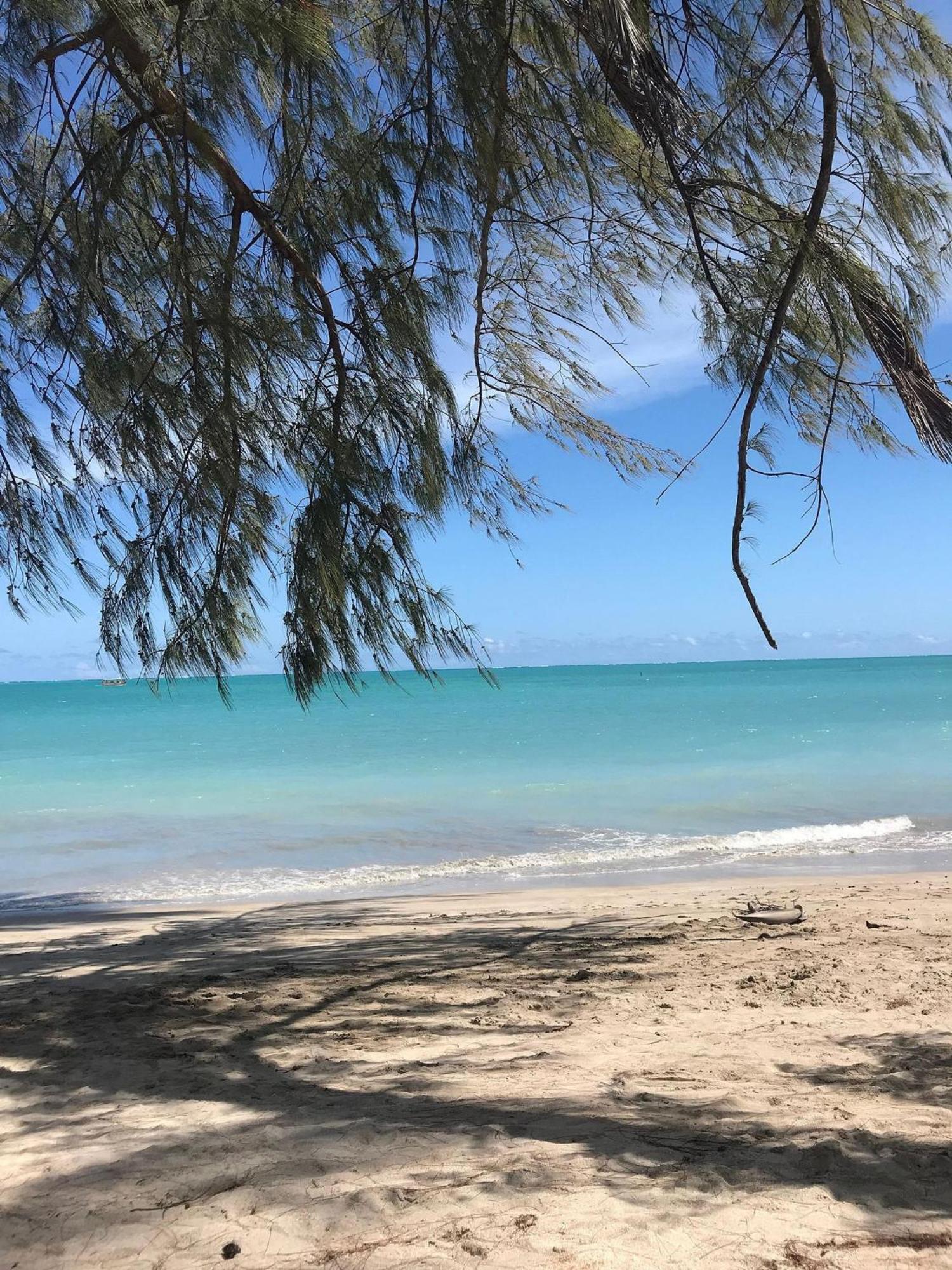 Chales Praias Brasileiras マラゴージ エクステリア 写真