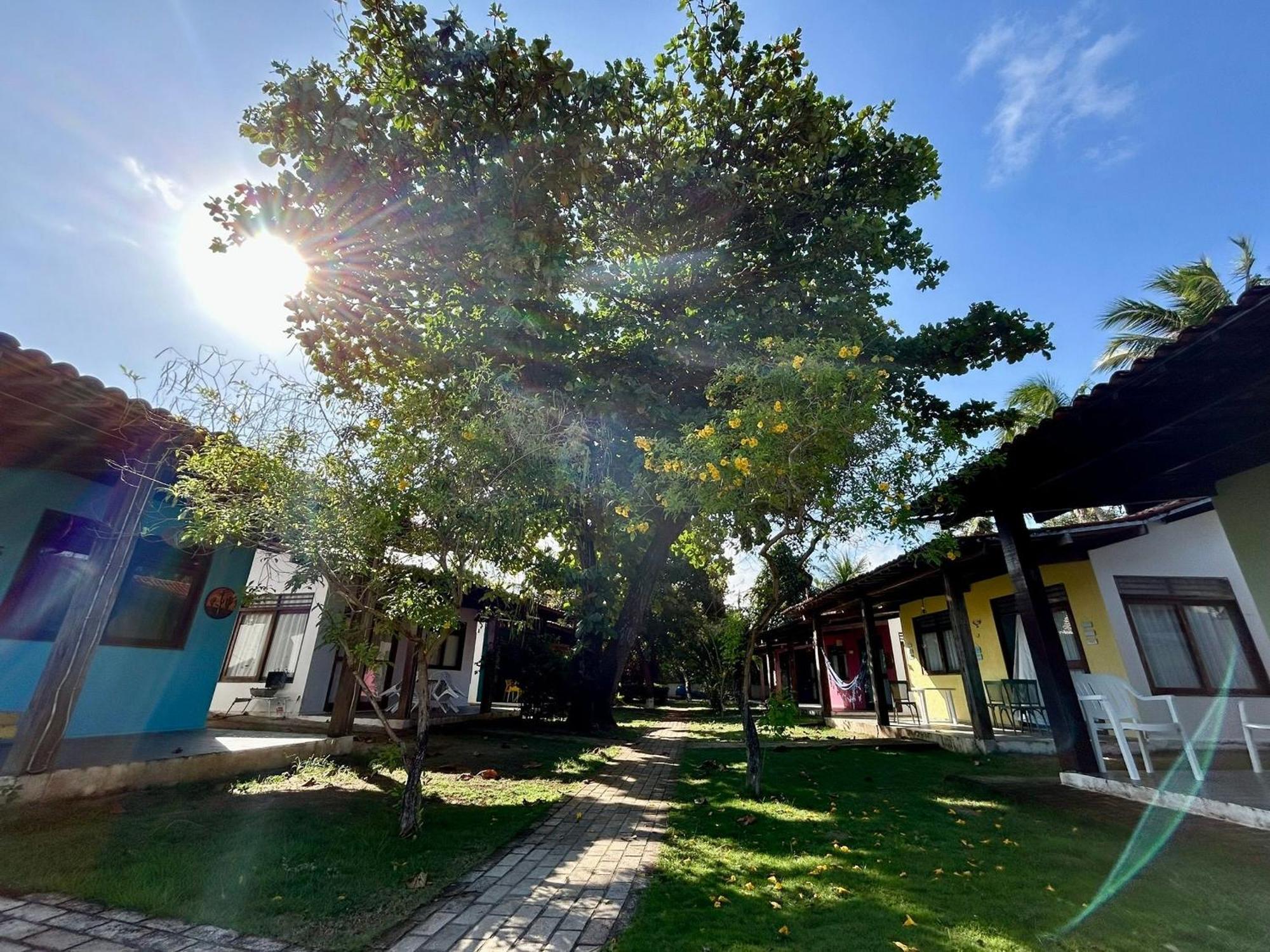 Chales Praias Brasileiras マラゴージ エクステリア 写真